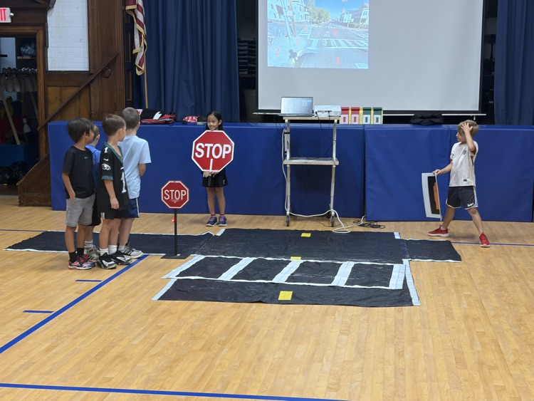 pedestrian safety assembly
