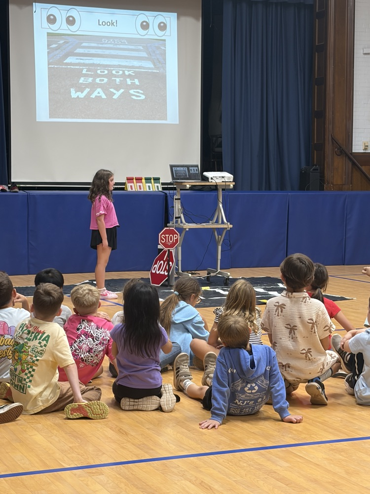 pedestrian safety assembly