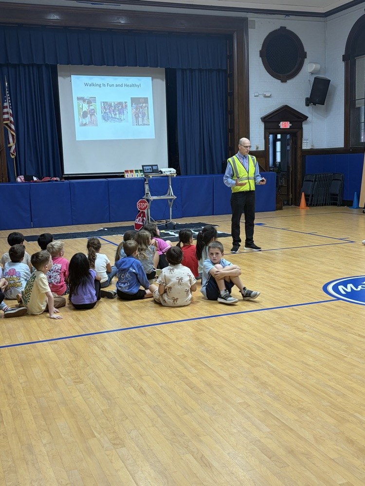 pedestrian safety assembly