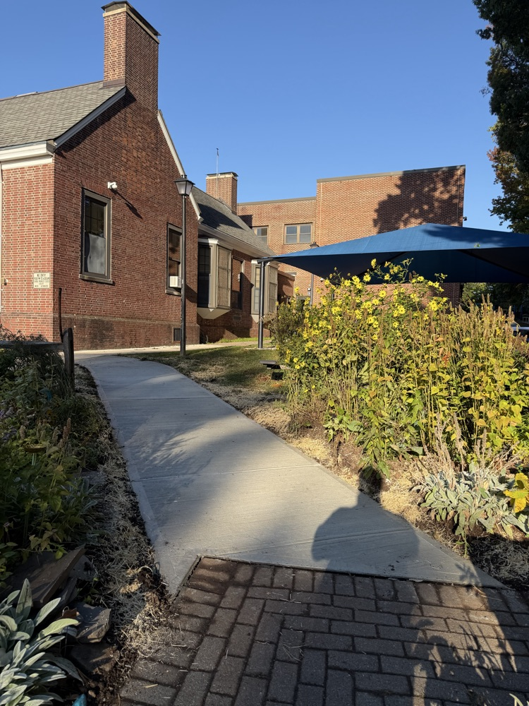 new sidewalk