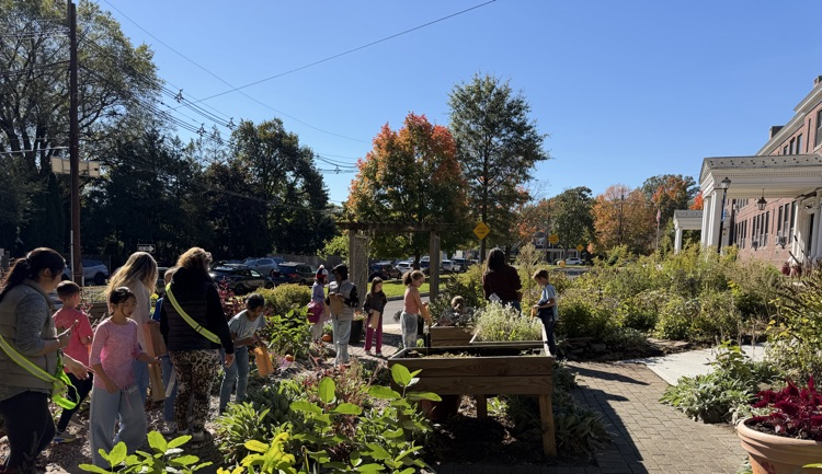 students in the habitat garden 