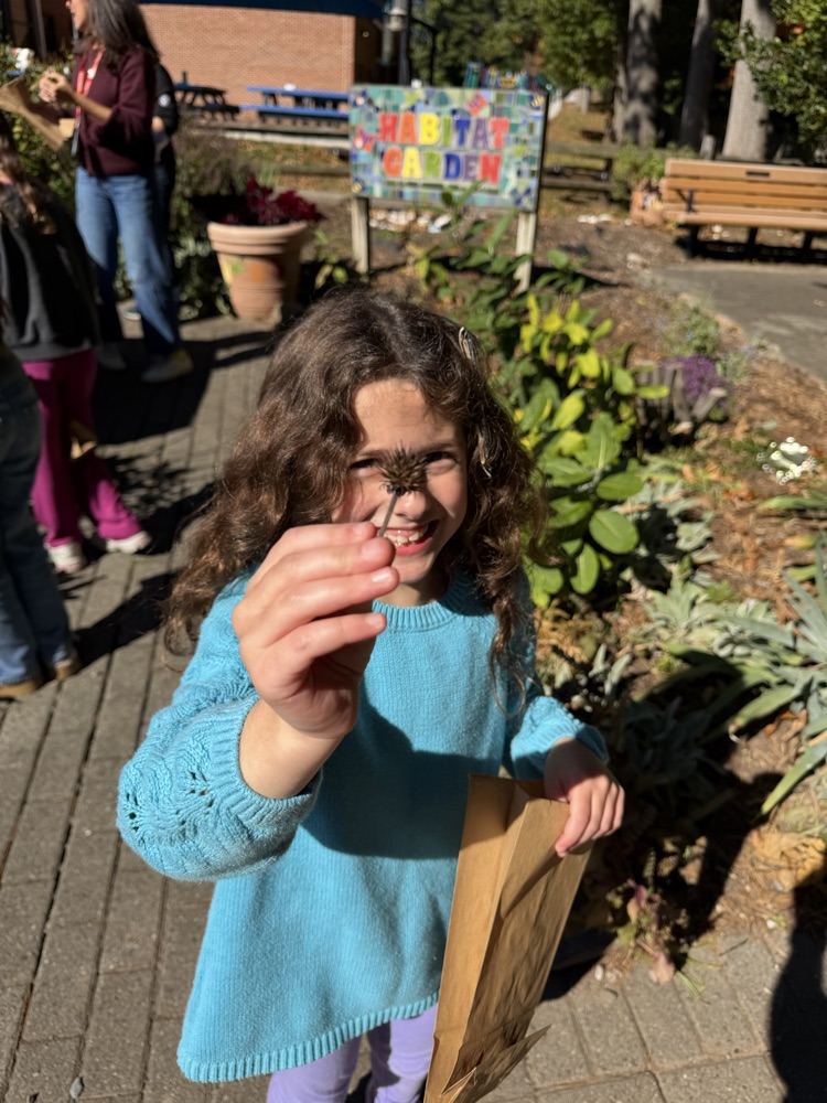 students in the habitat garden 