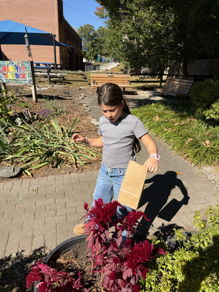 students in the habitat garden 