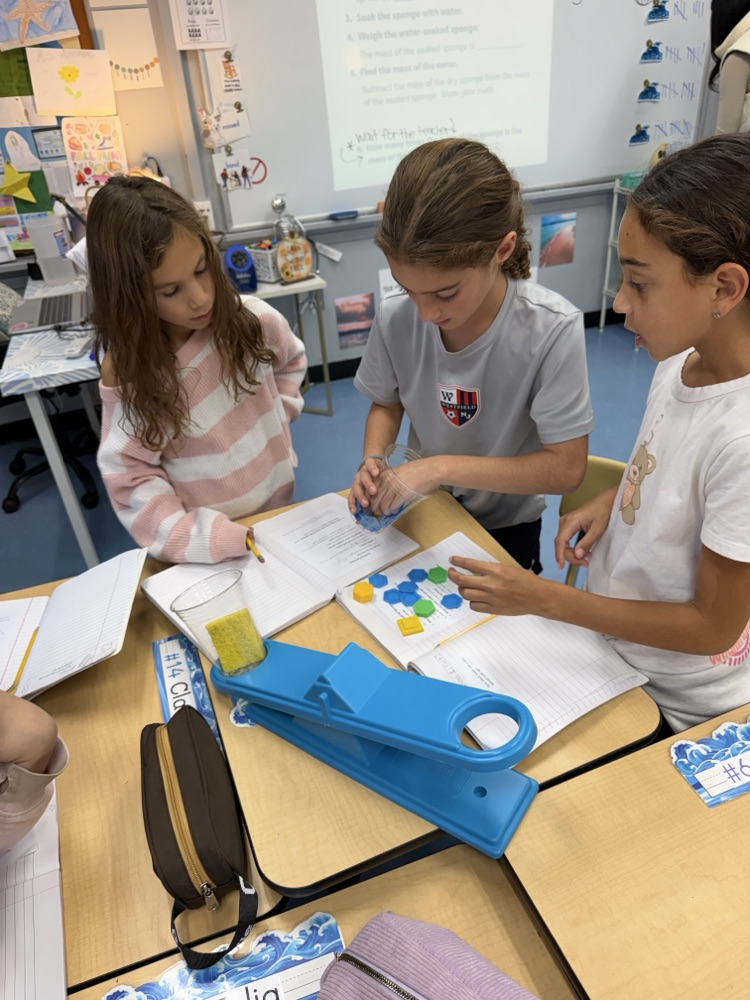 science using claim evidence a reason 