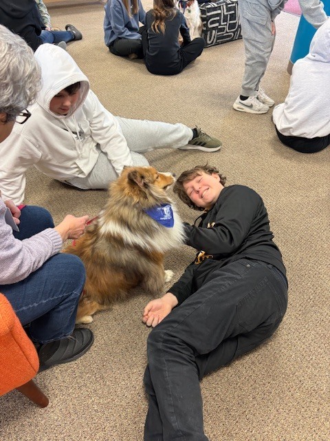 Therapy dogs