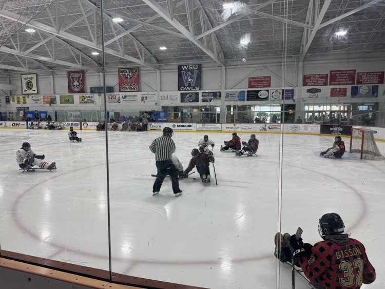 sled hockey