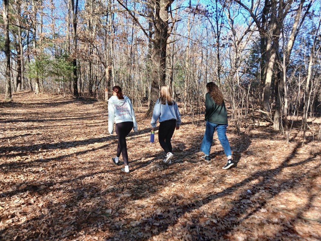 Science bird watching