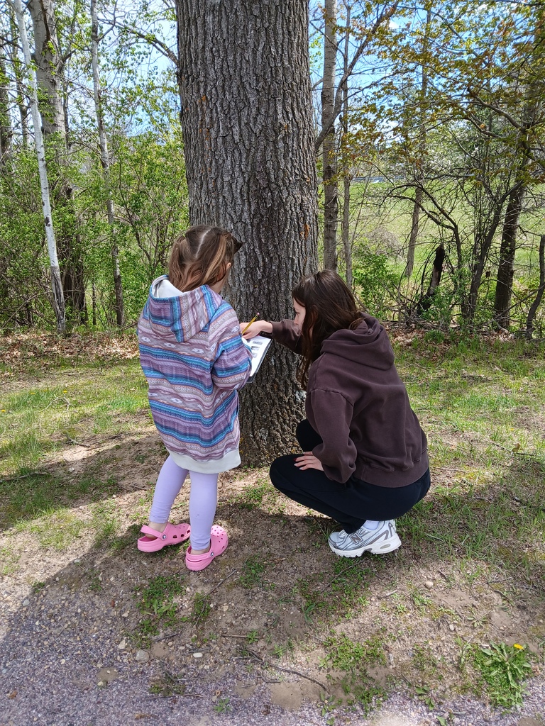 Story Walk