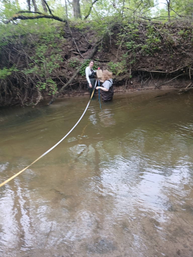 Students monitoring stream