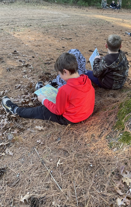 Learning about the animals in the forest