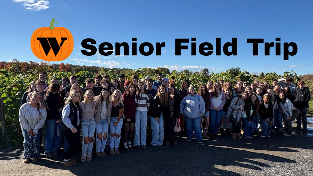 senior