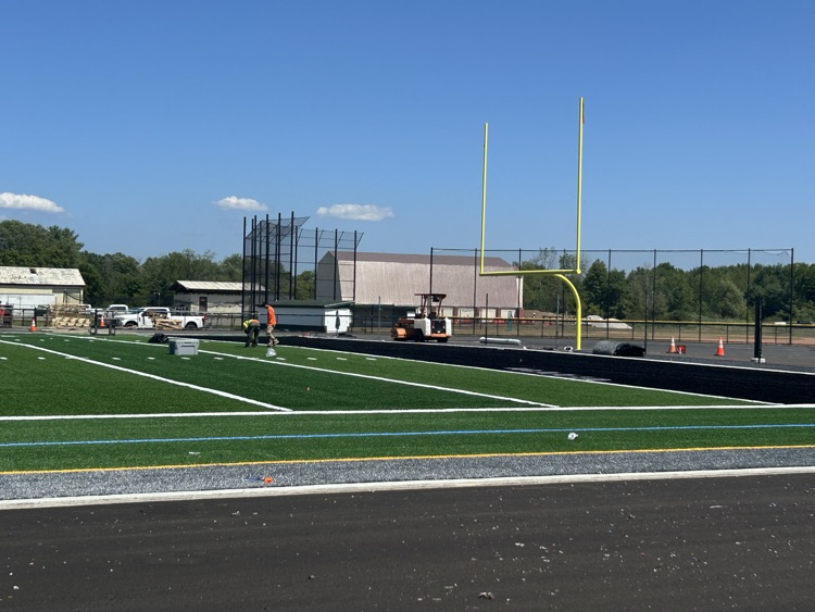 turf