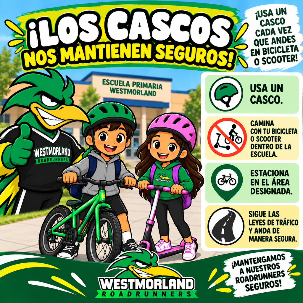 cascos