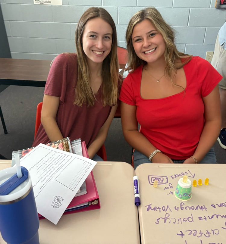 learning with friends