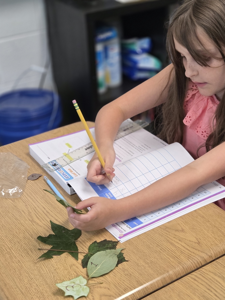 leaf investigation.