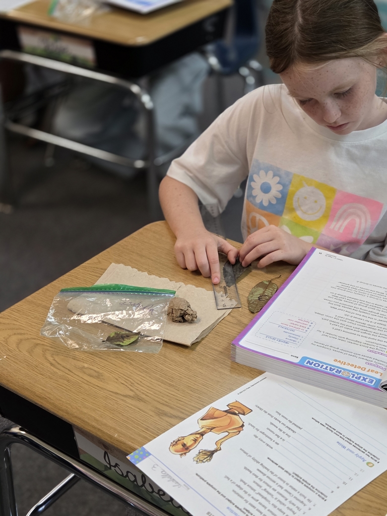 Leaf investigation.