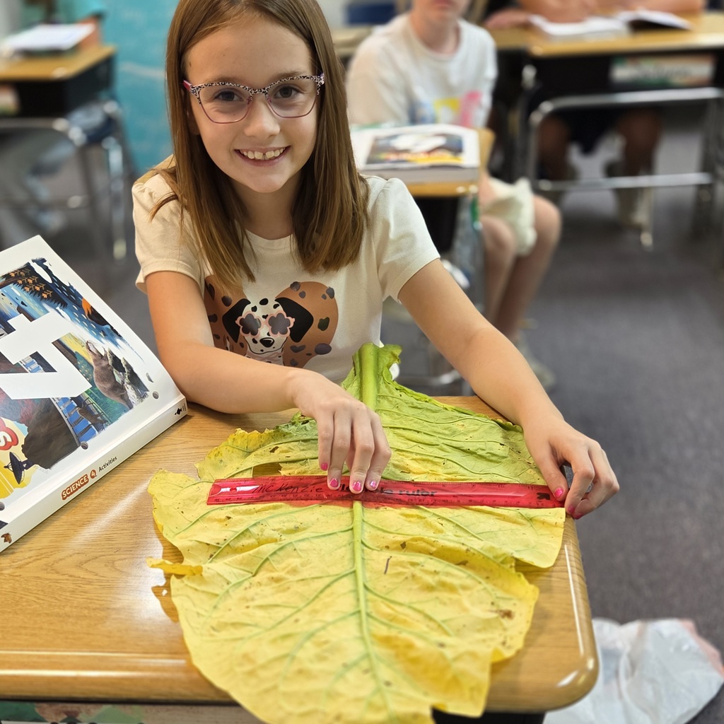 Leaf investigation.
