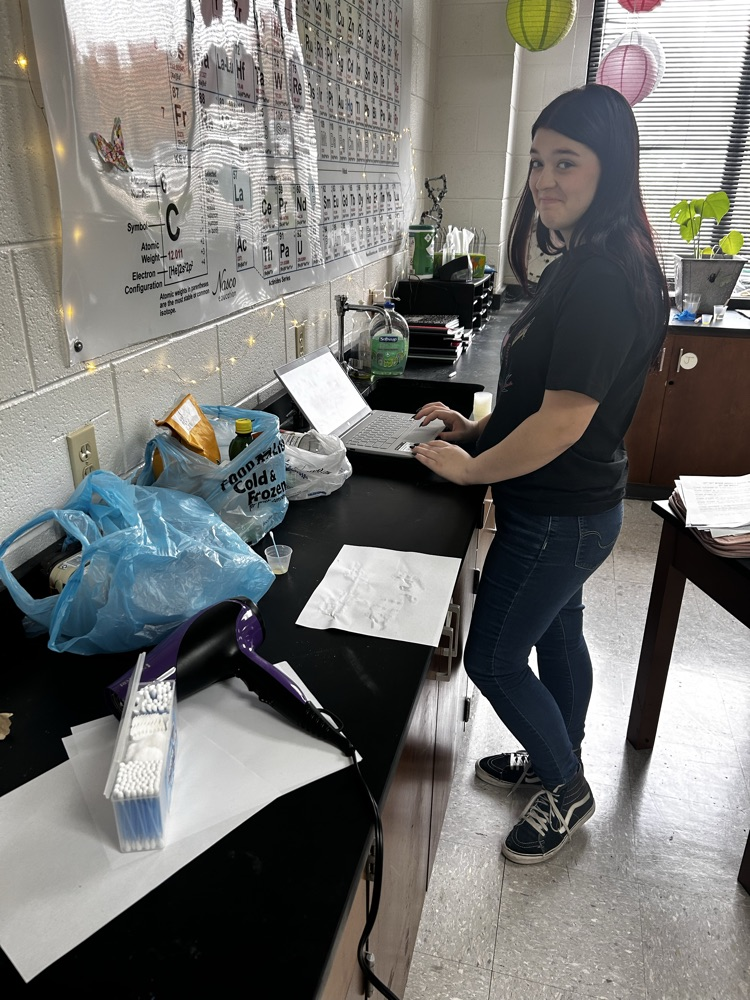 Students working on their science fair projects!