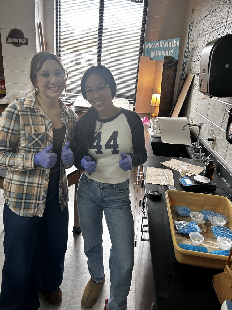 Students working on their science fair projects