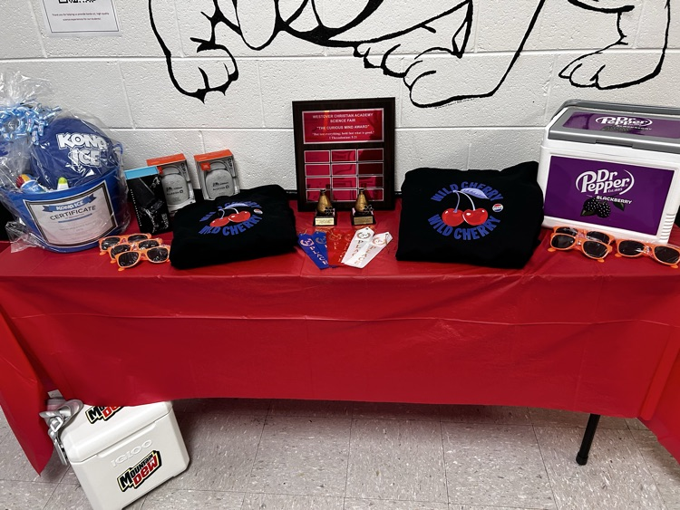 Some of the prizes up for grabs! 