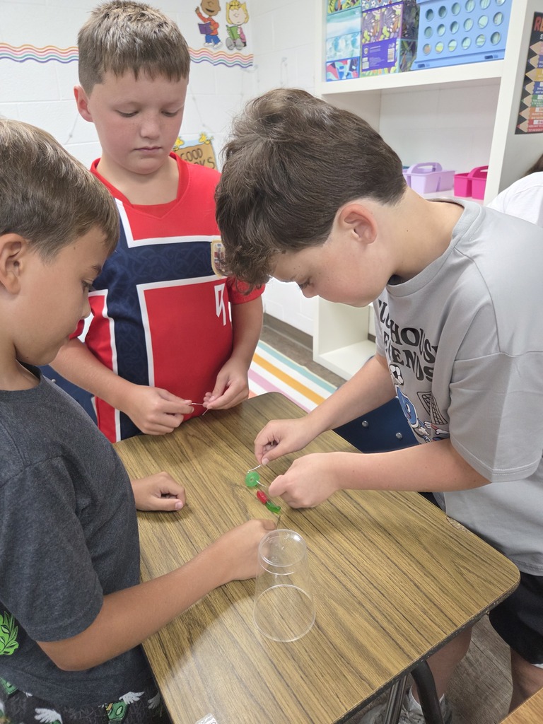 Fourth grade enjoyed working together to "Save Fred" during science.