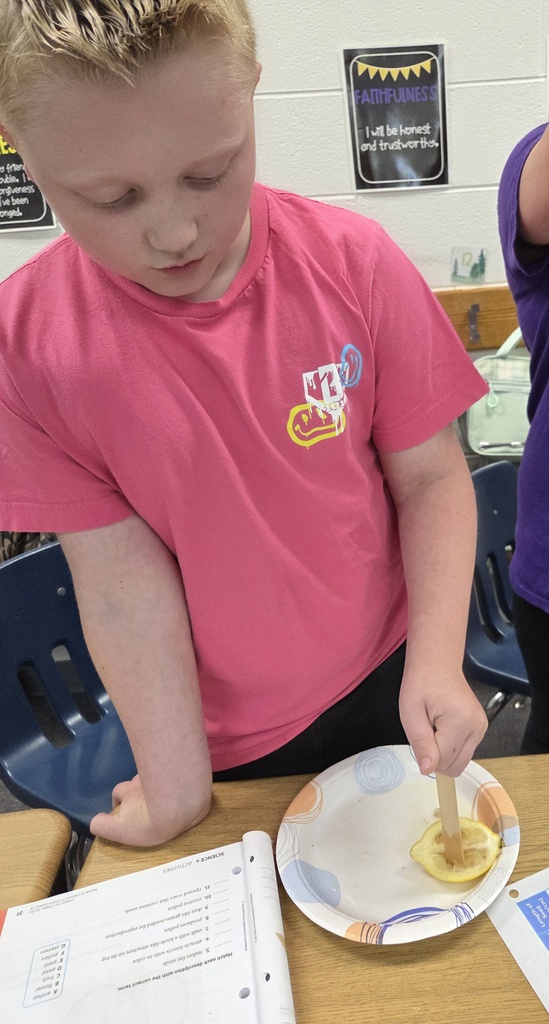 4th graders exploring seeds in fruits during our plant unit.