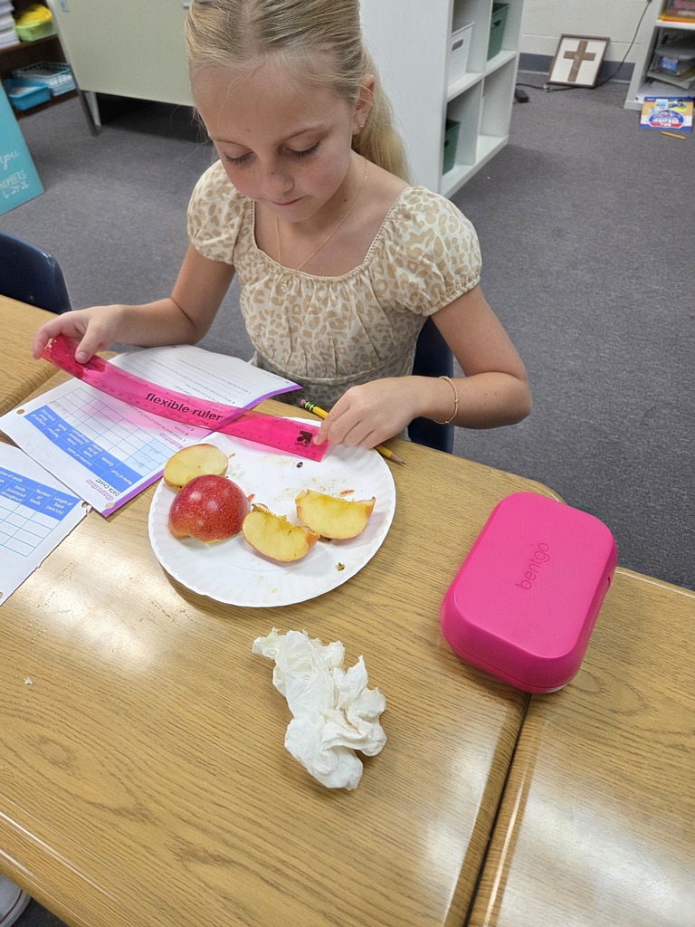 4th graders exploring seeds during our plant unit.