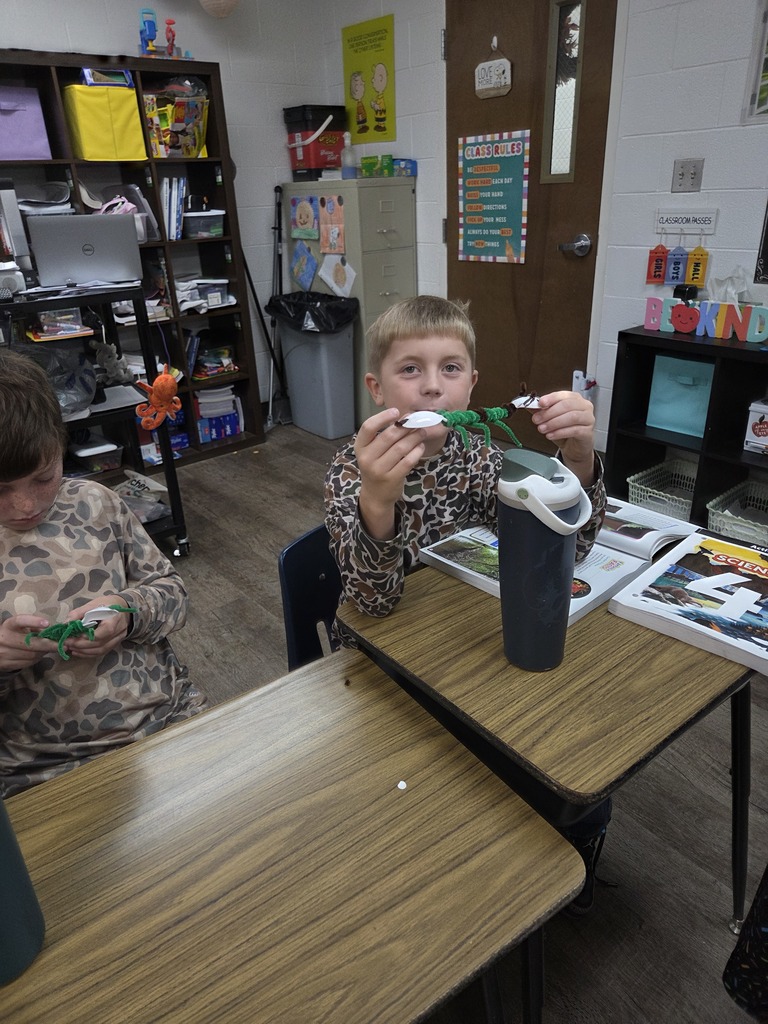 4th graders showing off their arthropods in science.