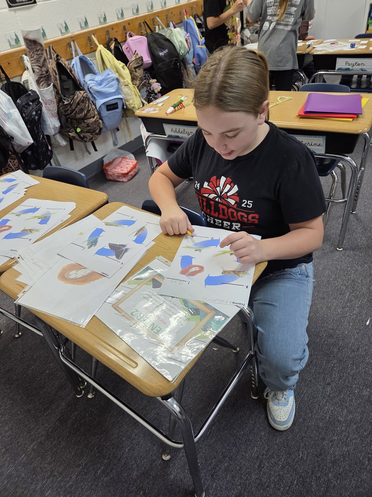 4th grade centers in science.