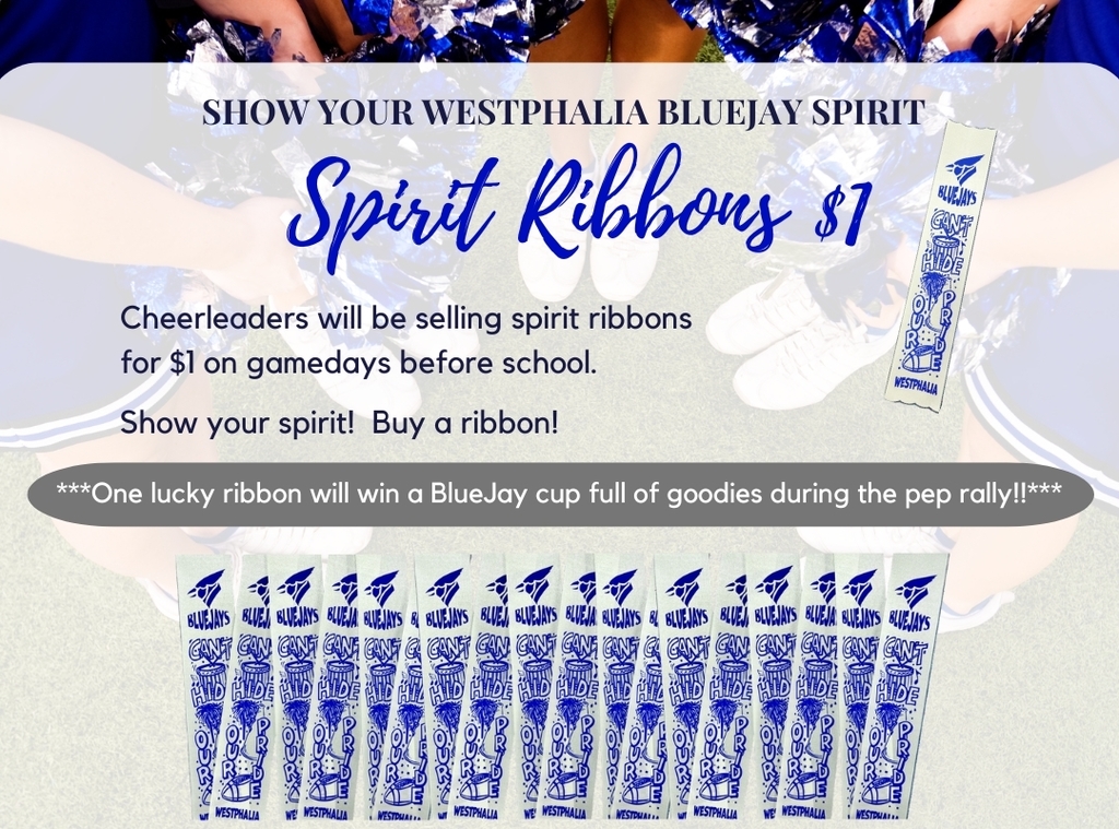 Sprit ribbons $1 before school on game days.