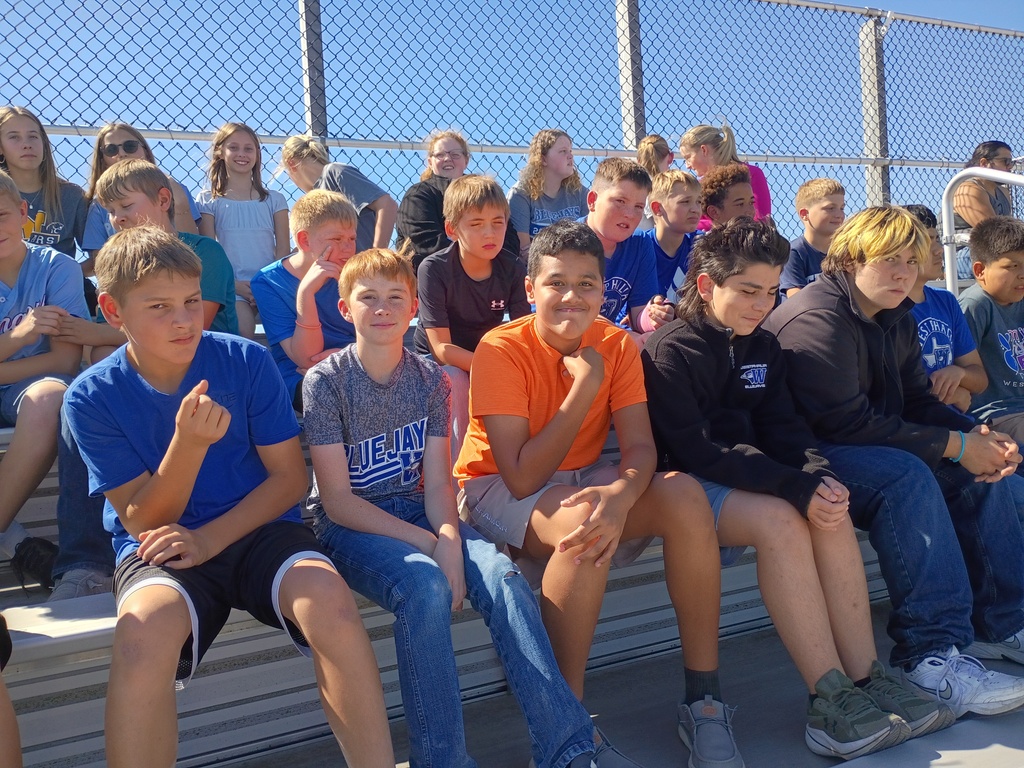 In the Stands