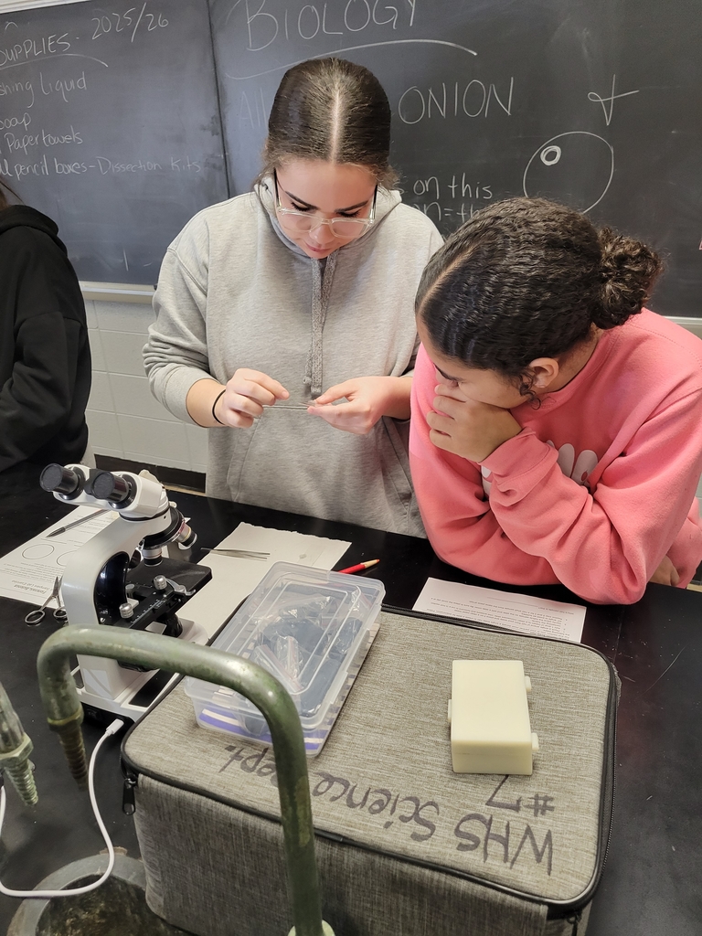 Jaelyn Miller & Backyard Wells