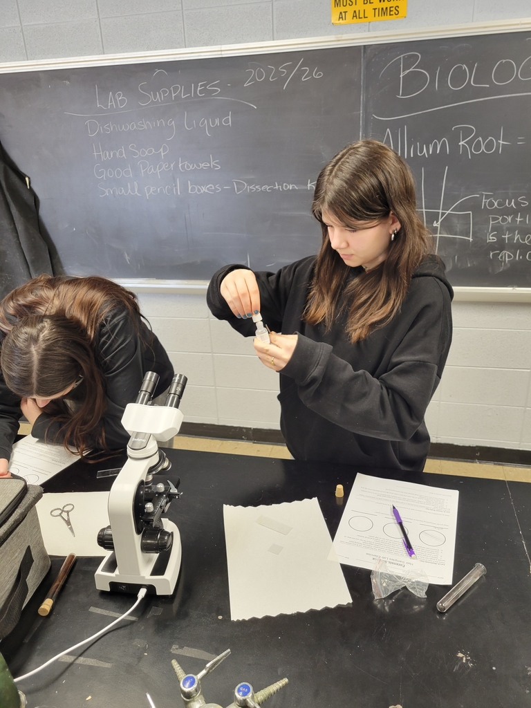 Marta Cervi & Kyleigh Carroll