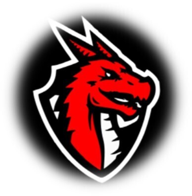 WSA LOGO