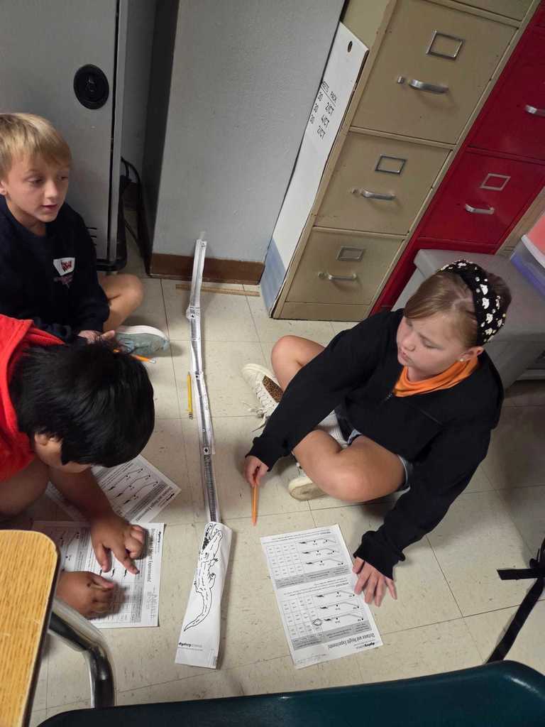 Mrs. Wilson’s 4th grade class turned the classroom into a mini theme park today as students designed and tested their own roller coaster tracks!     The challenge: demonstrate the transfer of energy by releasing a marble at different heights to see how it impacts where the “bumper car” lands.  Warriors discover how energy works in the real world.  ❤️🤍