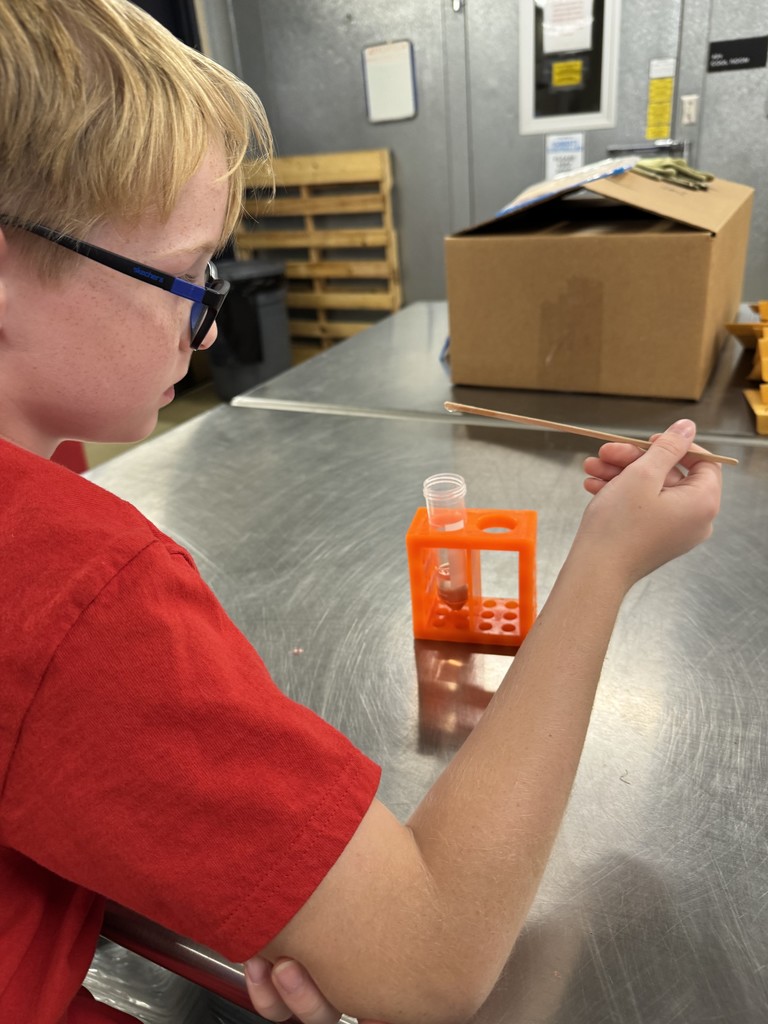 Westside Elementary Gifted and Talented students enjoyed a fun and educational trip to Arkansas State University. They explored interactive exhibits at the ASU Museum, learning about Arkansas history, science, and culture. In the afternoon, students toured the Arkansas Biosciences Institute, watched a video on its research, and even extracted DNA from a strawberry! It was an inspiring day of hands-on learning and scientific discovery.