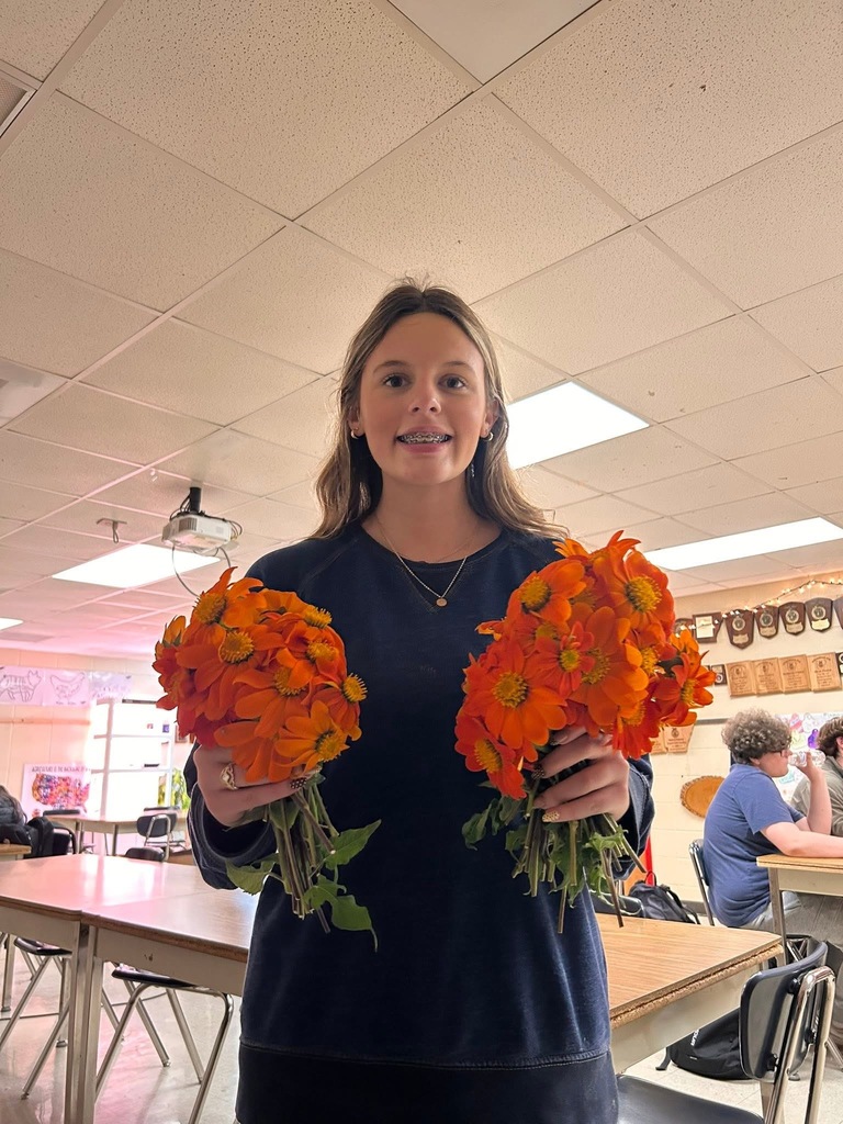 WHS Ag Spotlight – SAE: Supervised Agricultural Experience   Every WHS Ag student takes part in an SAE project, applying classroom learning to real-world experiences — whether it’s caring for animals, working a job, or creating their own business.  This year, Hannah Guerin launched her own cut-flower business as her SAE project! Over the summer, she researched, purchased supplies, and planted gardens both at home and at school. She’s been harvesting Tithonia and Zinnia flowers, sharing them with teachers and classmates, and gaining hands-on experience in ag entrepreneurship.  We’re proud of Hannah’s hard work and creativity — great things are blooming at WHS!  😉❤️🤍