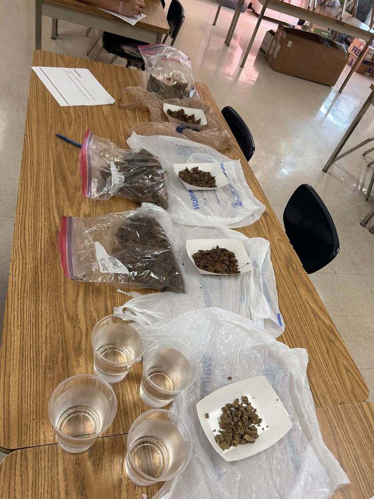 WHS Advanced Plant Science students have been studying soil texture and spent the day collecting soil samples from around campus to bring back to the classroom for testing. They made predictions based on each sample’s appearance, then used the “muddy puddle” test and the “squeeze” test to test their hypotheses.  Next week, they’ll complete the “ribbon” test once the samples have fully dried. It’s awesome to see our students getting their hands dirty while learning about the science of soil!