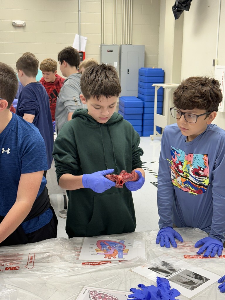 On Friday, our middle school students had an exciting opportunity to dive into real-life science with the ladies of Junior Auxiliary, who visited to lead a pig heart and lung dissection!  This hands-on experience helped students explore the body systems they’ve been studying in class. Seeing how the heart and lungs work together to keep the body functioning was an unforgettable way to connect classroom learning with real-world experiences.   A huge thank you to the Junior Auxiliary for bringing science to life for our students! 