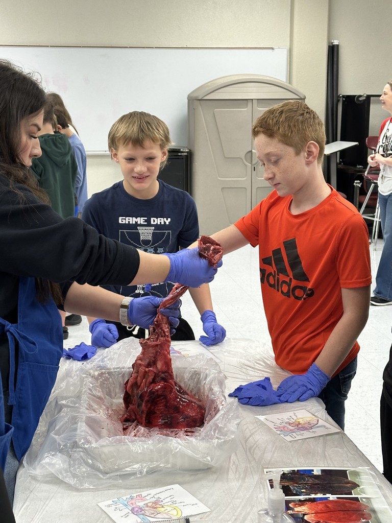 On Friday, our middle school students had an exciting opportunity to dive into real-life science with the ladies of Junior Auxiliary, who visited to lead a pig heart and lung dissection!  This hands-on experience helped students explore the body systems they’ve been studying in class. Seeing how the heart and lungs work together to keep the body functioning was an unforgettable way to connect classroom learning with real-world experiences.   A huge thank you to the Junior Auxiliary for bringing science to life for our students! 