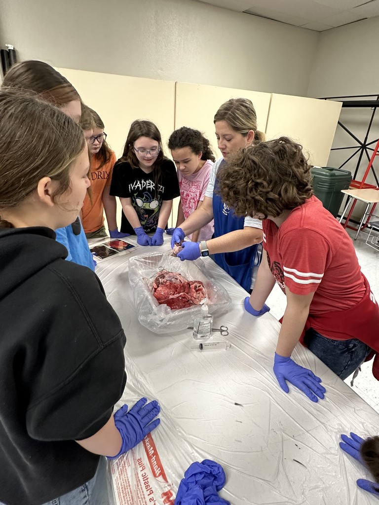 On Friday, our middle school students had an exciting opportunity to dive into real-life science with the ladies of Junior Auxiliary, who visited to lead a pig heart and lung dissection!  This hands-on experience helped students explore the body systems they’ve been studying in class. Seeing how the heart and lungs work together to keep the body functioning was an unforgettable way to connect classroom learning with real-world experiences.   A huge thank you to the Junior Auxiliary for bringing science to life for our students! 