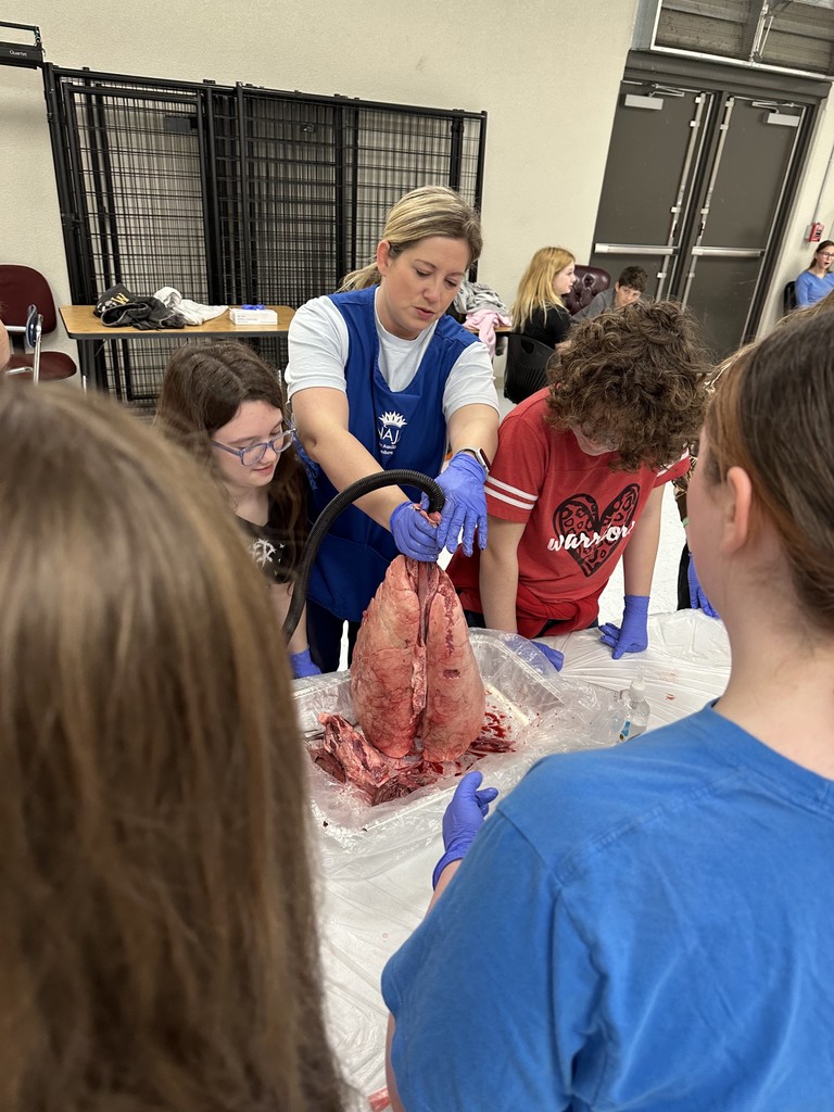 On Friday, our middle school students had an exciting opportunity to dive into real-life science with the ladies of Junior Auxiliary, who visited to lead a pig heart and lung dissection!  This hands-on experience helped students explore the body systems they’ve been studying in class. Seeing how the heart and lungs work together to keep the body functioning was an unforgettable way to connect classroom learning with real-world experiences.   A huge thank you to the Junior Auxiliary for bringing science to life for our students! 