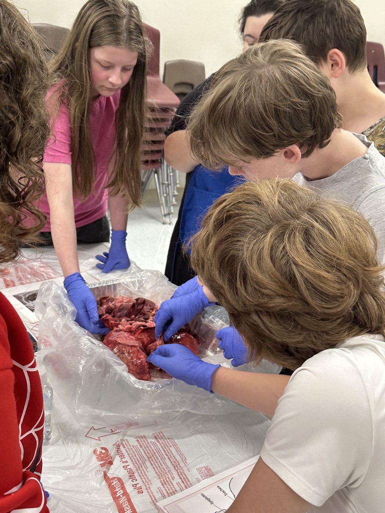 On Friday, our middle school students had an exciting opportunity to dive into real-life science with the ladies of Junior Auxiliary, who visited to lead a pig heart and lung dissection!  This hands-on experience helped students explore the body systems they’ve been studying in class. Seeing how the heart and lungs work together to keep the body functioning was an unforgettable way to connect classroom learning with real-world experiences.   A huge thank you to the Junior Auxiliary for bringing science to life for our students! 