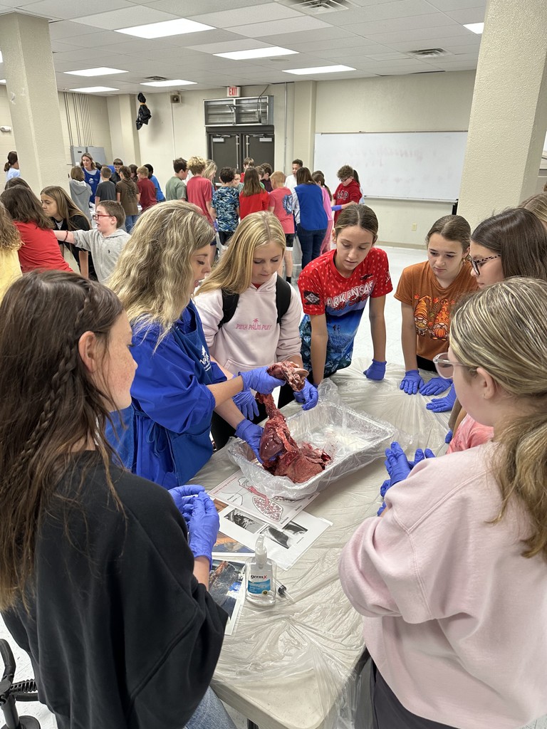 On Friday, our middle school students had an exciting opportunity to dive into real-life science with the ladies of Junior Auxiliary, who visited to lead a pig heart and lung dissection!  This hands-on experience helped students explore the body systems they’ve been studying in class. Seeing how the heart and lungs work together to keep the body functioning was an unforgettable way to connect classroom learning with real-world experiences.   A huge thank you to the Junior Auxiliary for bringing science to life for our students! 