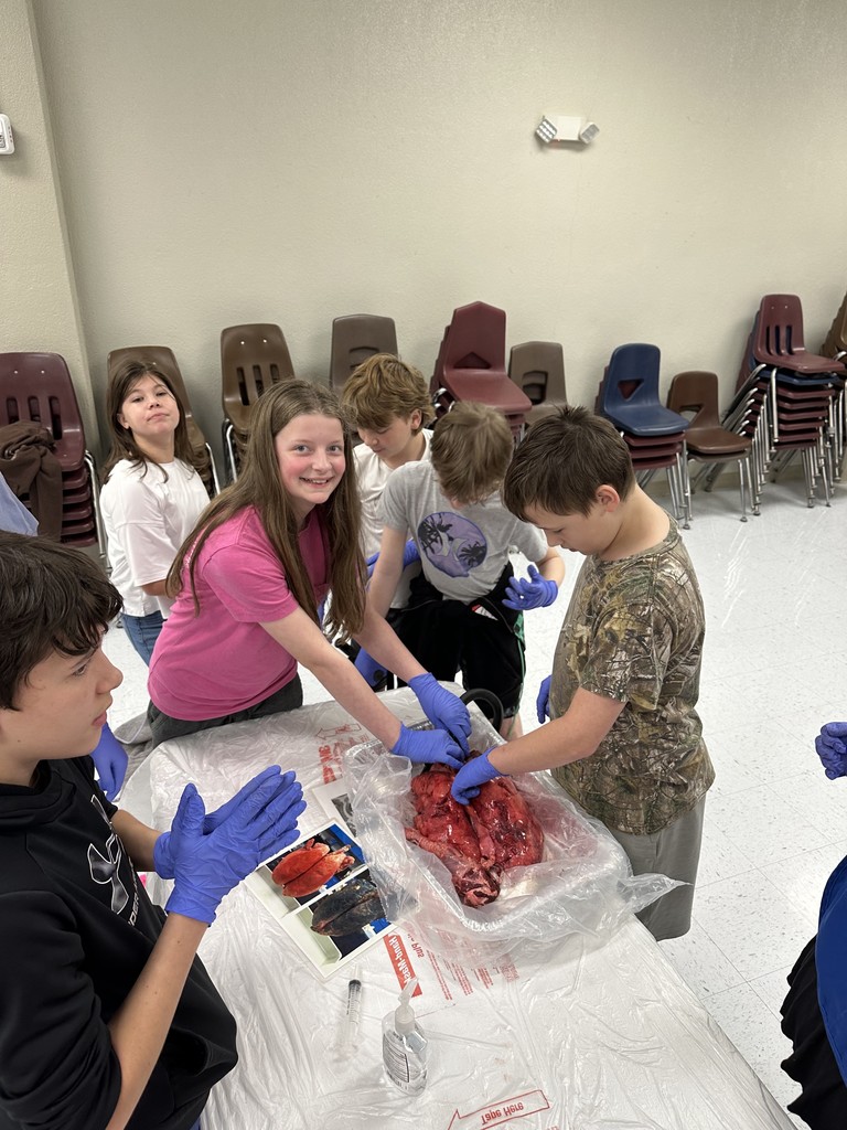 On Friday, our middle school students had an exciting opportunity to dive into real-life science with the ladies of Junior Auxiliary, who visited to lead a pig heart and lung dissection!  This hands-on experience helped students explore the body systems they’ve been studying in class. Seeing how the heart and lungs work together to keep the body functioning was an unforgettable way to connect classroom learning with real-world experiences.   A huge thank you to the Junior Auxiliary for bringing science to life for our students! 
