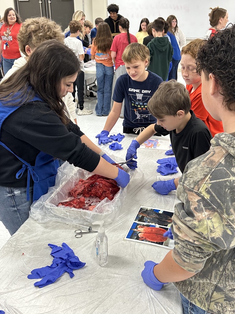On Friday, our middle school students had an exciting opportunity to dive into real-life science with the ladies of Junior Auxiliary, who visited to lead a pig heart and lung dissection!  This hands-on experience helped students explore the body systems they’ve been studying in class. Seeing how the heart and lungs work together to keep the body functioning was an unforgettable way to connect classroom learning with real-world experiences.   A huge thank you to the Junior Auxiliary for bringing science to life for our students! 