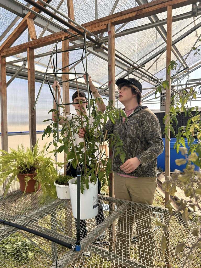 🥬🌱 Fresh from our campus to the cafeteria! 🌱🥬  Yesterday, we harvested our first batch of lettuce from the hydroponic tower! We also delivered the fresh lettuce—along with tomatoes from our greenhouse—to the cafeteria.  Be on the lookout for these fresh, locally grown veggies in the lunch line soon!