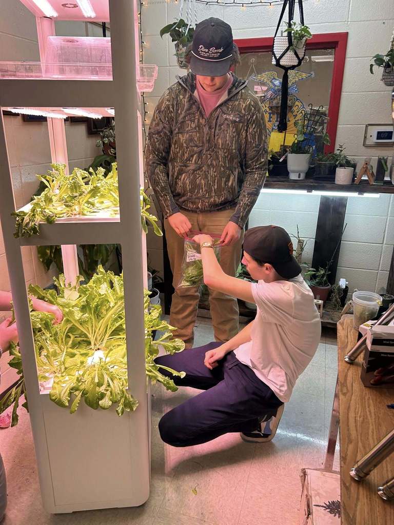🥬🌱 Fresh from our campus to the cafeteria! 🌱🥬  Yesterday, we harvested our first batch of lettuce from the hydroponic tower! We also delivered the fresh lettuce—along with tomatoes from our greenhouse—to the cafeteria.  Be on the lookout for these fresh, locally grown veggies in the lunch line soon!