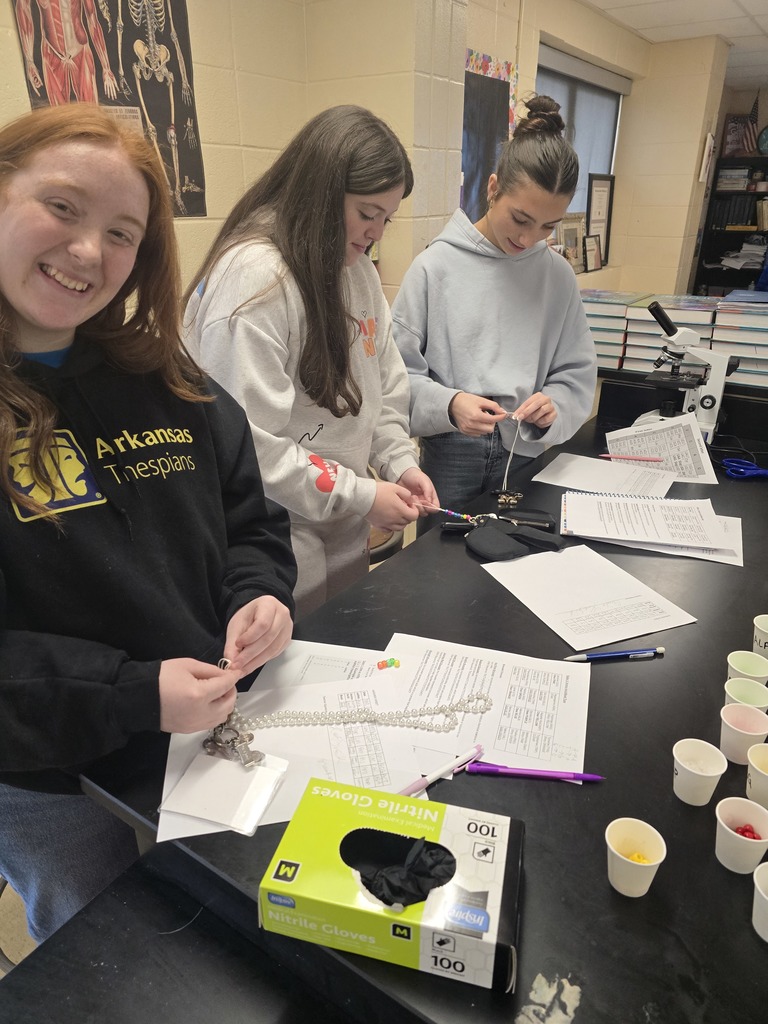 Mrs. Smith’s Biology students explored transcription and translation by coding DNA strands into amino acid bracelets and keychains — a creative way to make molecular biology come alive!