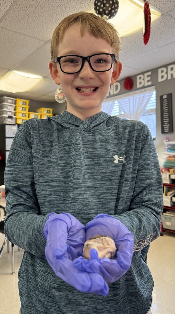 Westside Elementary's 3rd and 4th grade GT classes had the pleasure of hosting Dr. Thomas Nix, who led an incredible dissection of a cow’s eye. Our students got a front-row seat to the inner workings of anatomy, learning exactly how the parts function to help us see the world.  From holding the eye to asking some truly eye-opening questions, these amazing pupils proved they have a sharp focus for science! It was clear they had their eyes on the prize as they explored eye anatomy close.  A huge thank you to Dr. Nix for helping us see biology in a whole new way. We couldn't imagine a better hands-on learning experience! 